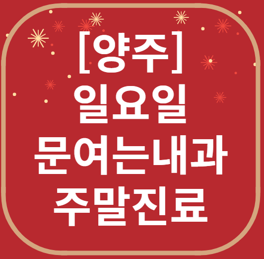 양주 일요일 문 여는 내과 리스트 ❘ 토요일 주말 휴일 야간진료 병원 찾기