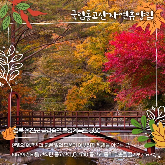 단풍놀이 명소