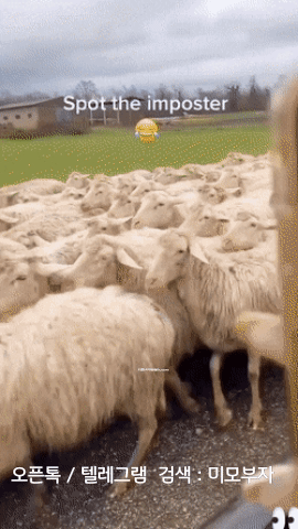 10월 23일 월 신문스크랩