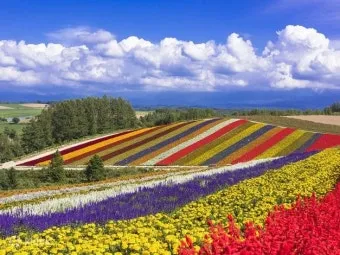 홋카이도 여름 여행코스 4박5일 일정과 맛집 정보 정리_10