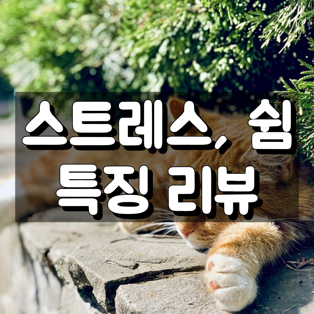 스트레스, 쉼(Stress, Rest) 대표 이미지