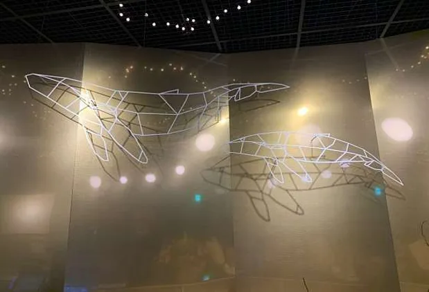 골프존파크 고래스크린