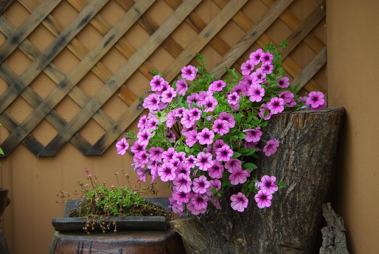 농어촌 기본소득 시범지역, 지급 조건 총정리(옥천·남해·보은)