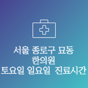 서울 종로구 묘동 주말 토요일 일요일 문여는 병원 진료시간
