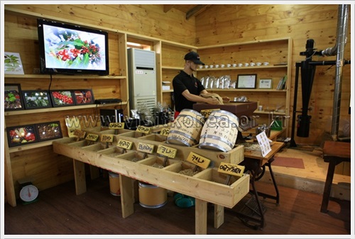 강릉중앙시장 인근 명소