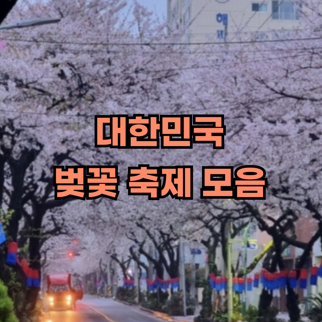 벚꽃축제모음