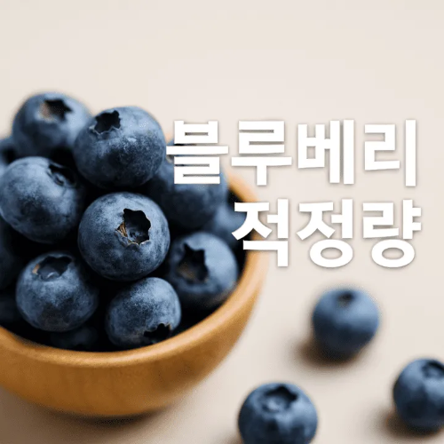 블루베리 적정량-썸네일이미지