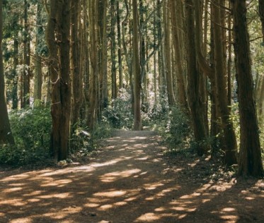 제주도 11월 가볼만한곳