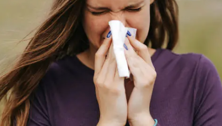 코피가 자주나는 이유 11