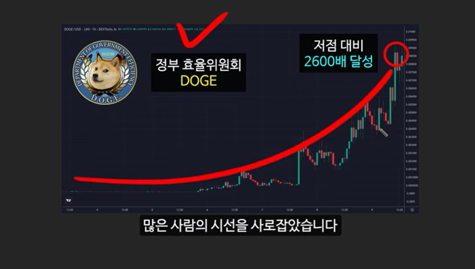 베이비 도지 코인의 급등 이유와 일론 머스크의 영향 ❘ 밈 코인 시장 전망