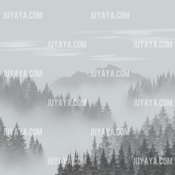 안개와 숲이 어우러진 자연 속 풍경