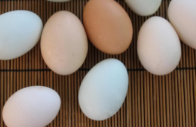 60대 치매 예방 식품, 이 5가지는 꼭 챙기세요