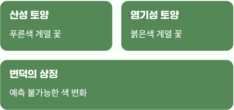 흙이 그리는 그림&amp;#44; 변덕의 얼굴