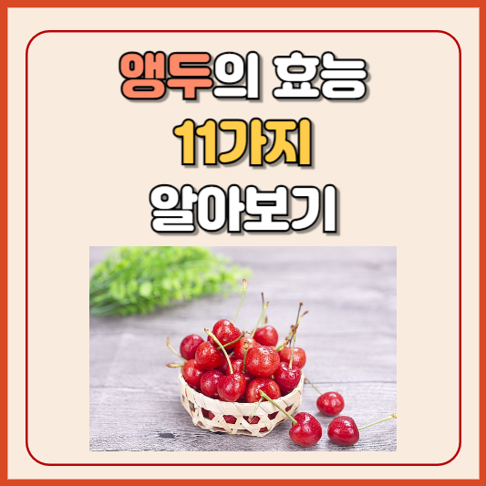 앵두 효능 11가지
