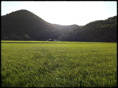 맞벌이 부모의 명절 스트레스, 아들까지 괴롭힌다? (시간, 감정, 역할)