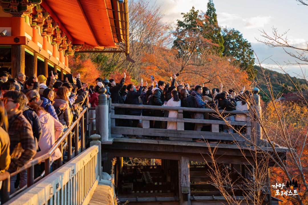 교토 기요미즈데라 청수사 일몰 인파