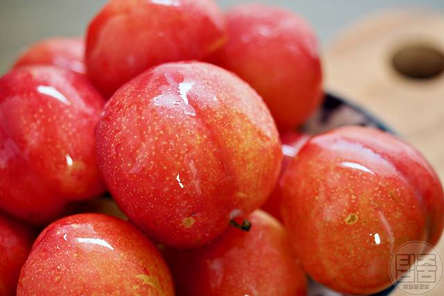 자두 효능 자두하루섭취량 자두부작용