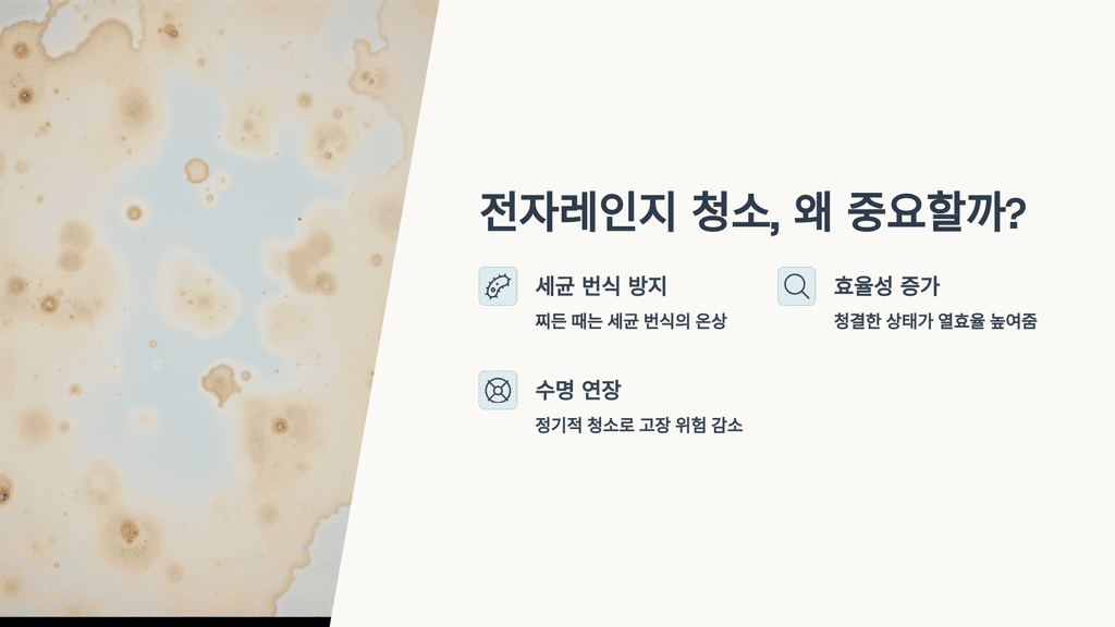 전자레인지 찌든 때, 왜 청소해야 할까?