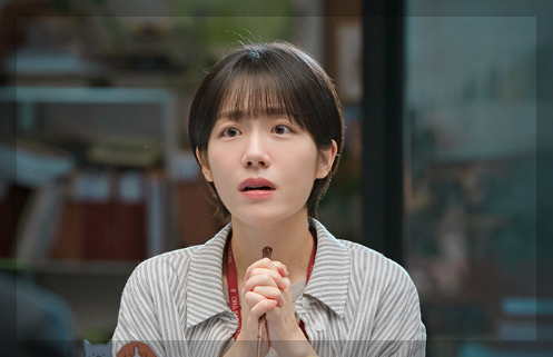 프로보노 드라마 출연진 OTT 줄거리 총정리