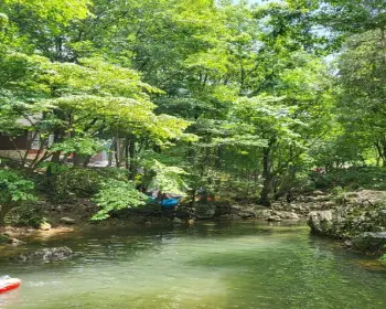 금산 삼계탕 축제_22