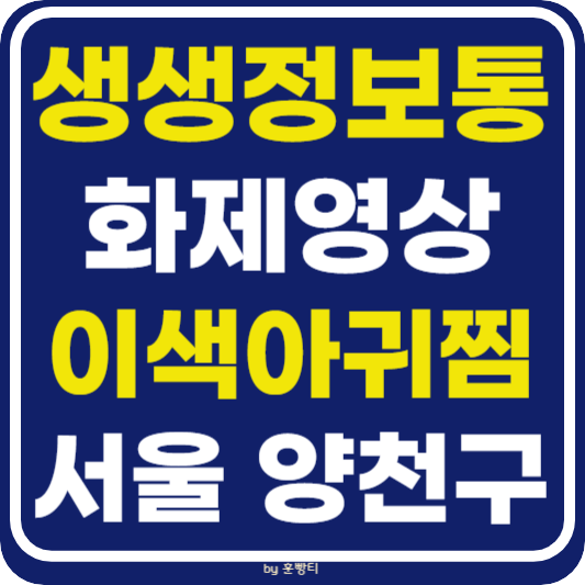 생생 정보통 맛집오늘방송 서울 양천구 이색 아귀찜 (SNS 화제영상)