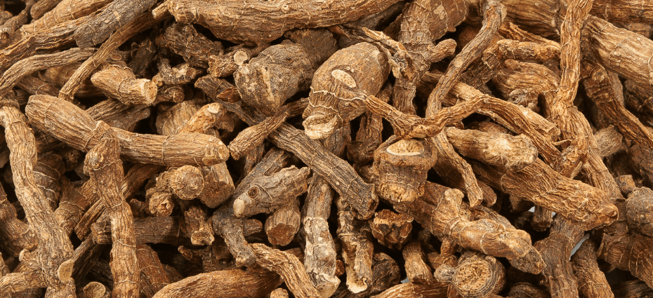 둥글레차 효과 - 5