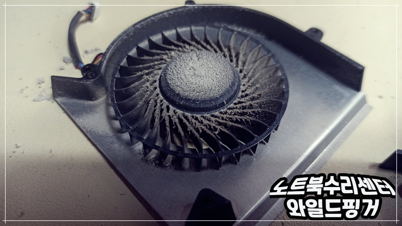 먼지 많은 팬