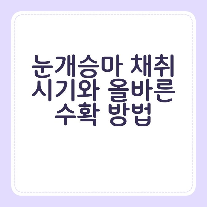 눈개승마 채취 시기와 올바른 수확 방법
