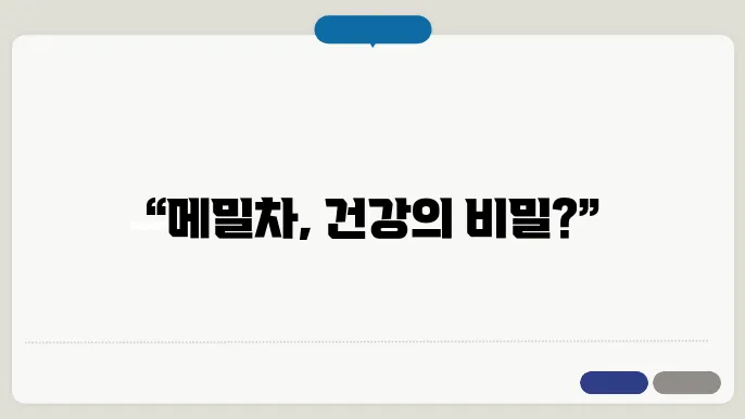 메밀차 효능과 부작용