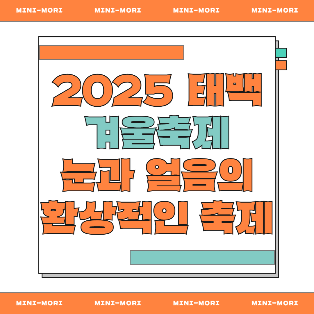  태백 겨울축제 