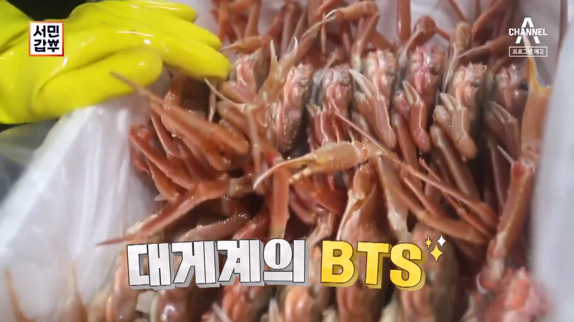 서민갑부 포항 생물 대게 전국 택배 배송 상위 1% 오디션 박달대게 파는 연 매출 30억 원 청년 장사꾼 갑부 방송 정보