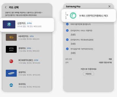 세종시 이응패스 완벽 가이드 (최대 5만원 혜택)