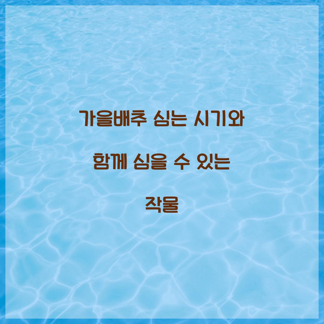 가을배추 심는 시기와 함께 심을 수 있는 작물