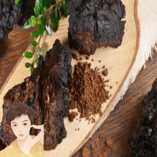 차가버섯-효능