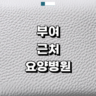 부여군 요양병원