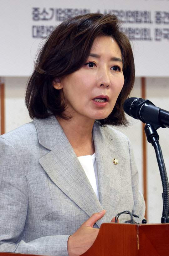 나경원 국회의원 정치 경력