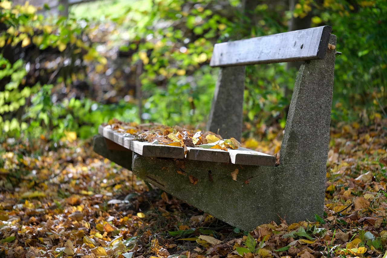 낙옆쌓인 벤치 사진