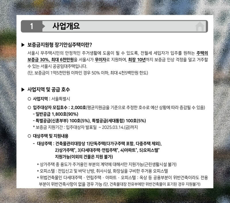 사업개요