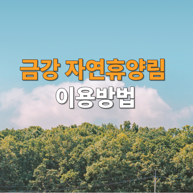 금강자연휴양림 완전정복리 -예약, 주차, 맛집, 사이트-