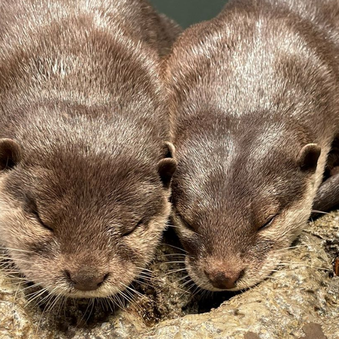 선샤인시티 아쿠아리움 01