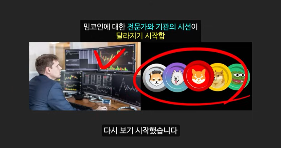 일론 머스크가 주목한 베이비 도지 코인, 급등 가능성은?