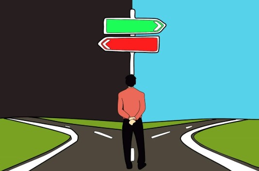 전공 이후의 길: 학과 선택이 커리어에 미치는 영향