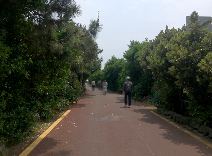 가파도-풍경-자전거-타고-즐기기8