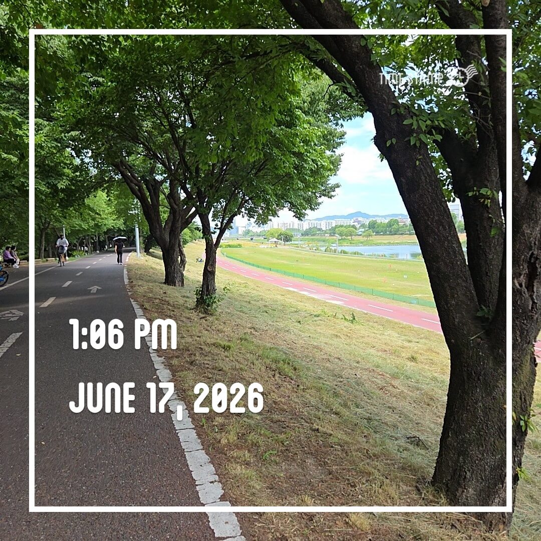 2026-06-17 점심걷기 사진