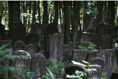 국민연금 유족연금