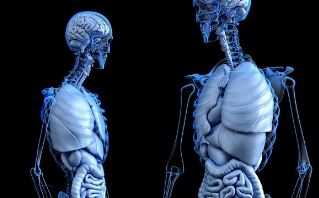 가슴이 답답하고 숨이 차는 증상 원인