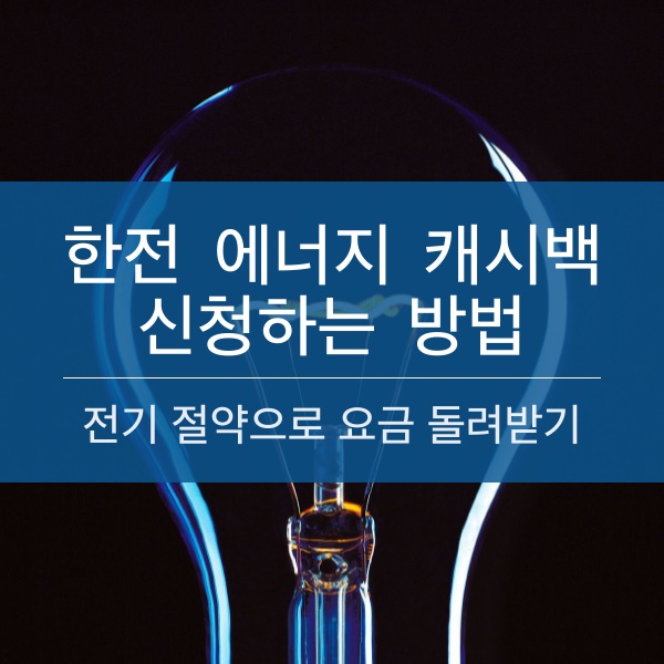 전기 절약하면 전기 요금 벌 수있는 한전 에너지 캐쉬백 신청하는 방법