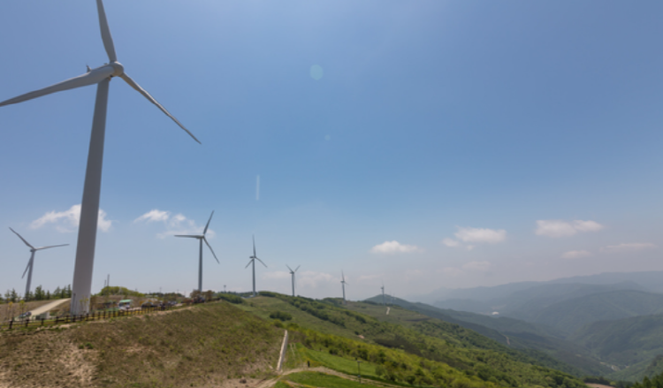 평창 육백마지기