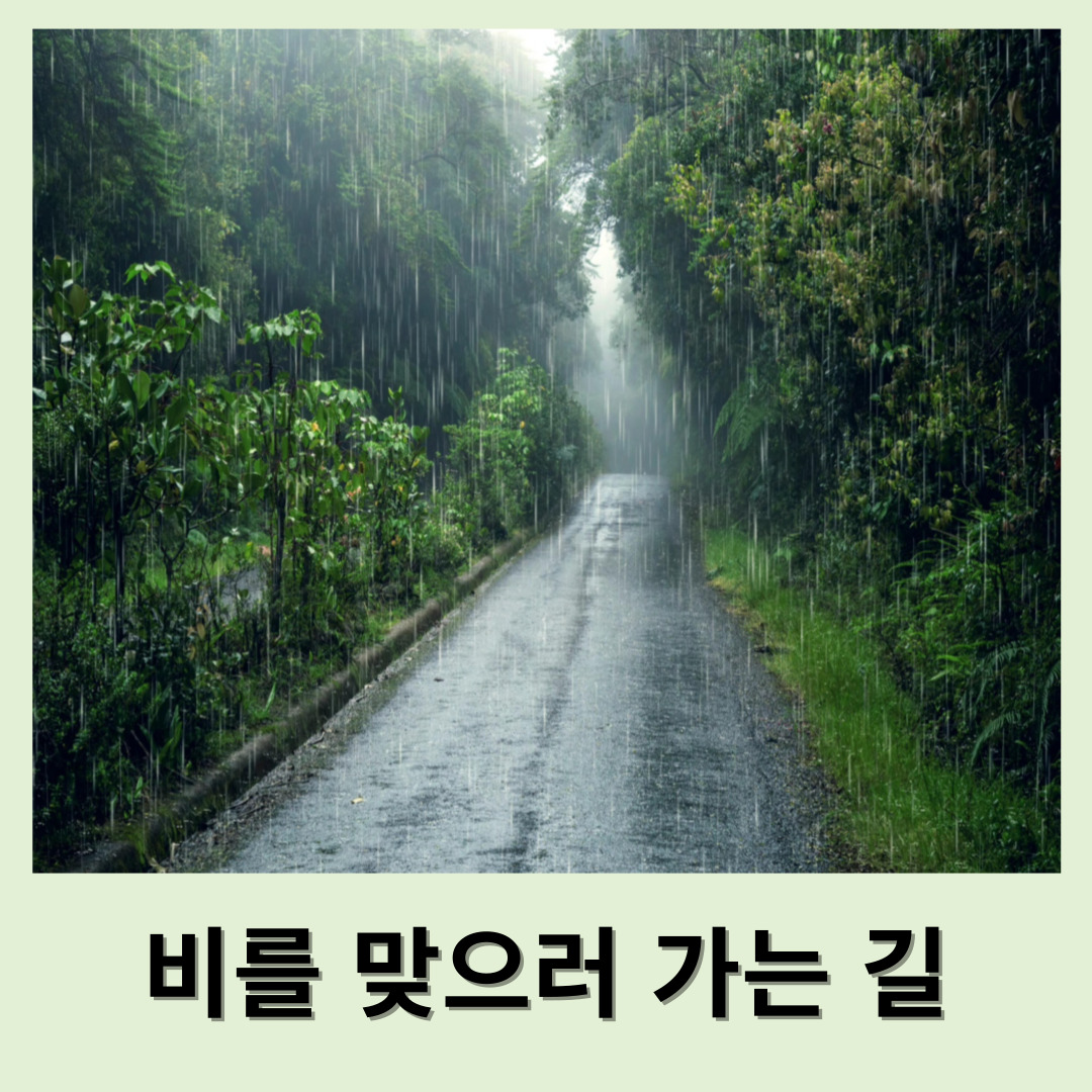 사진-비내리는 길