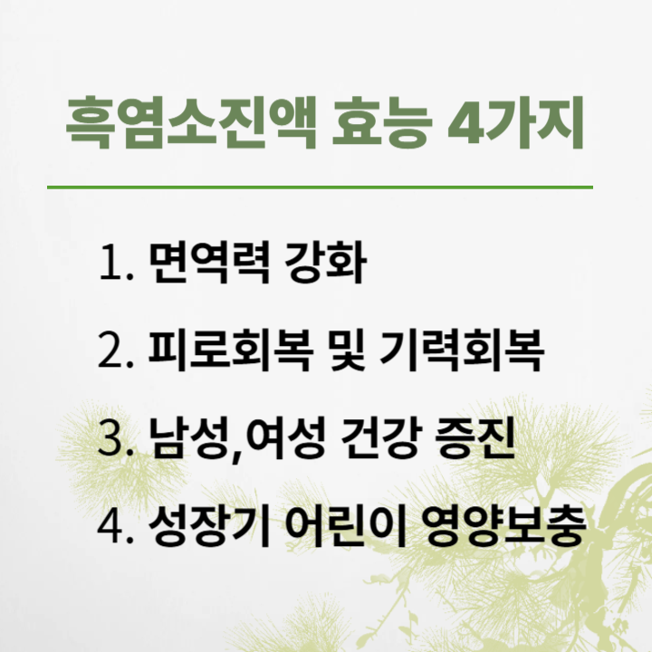 흑염소진액 효능4가지 설명글